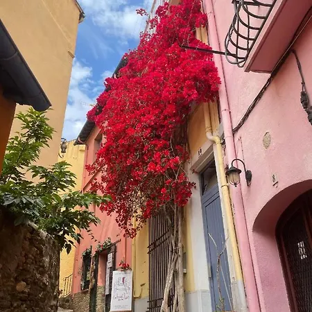 6coma6 Avec Terrasse Vue * Collioure
